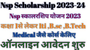 Nsp Scholarship online