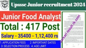 junior Analyst