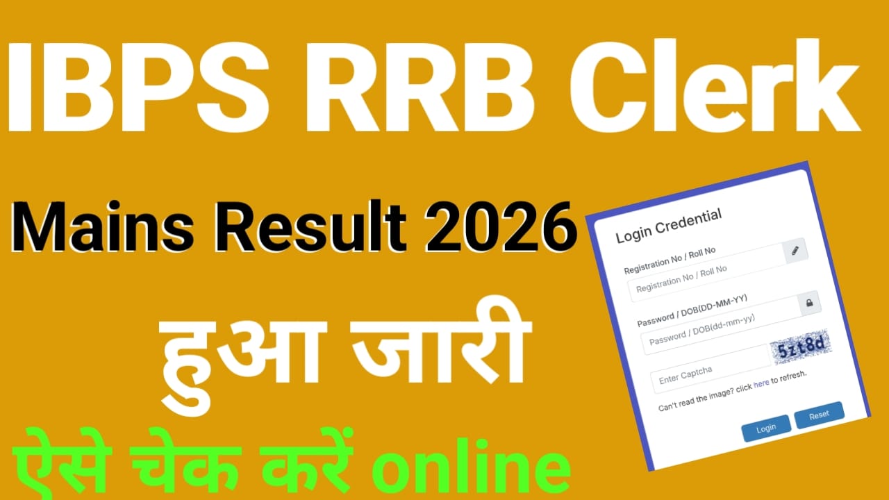 IBPS RRB Clerk Mains result